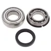 All Balls Chain Case Bearing and Seal Kit