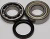 All Balls Chain Case Bearing and Seal Kit