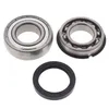All Balls Chain Case Bearing and Seal Kit