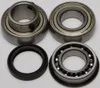 All Balls Chain Case Bearing and Seal Kit