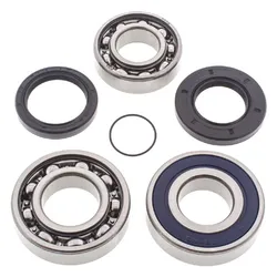 All Balls Chain Case Bearing and Seal Kit