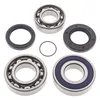 All Balls Chain Case Bearing and Seal Kit