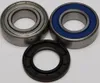 All Balls Jackshaft Bearing Kit