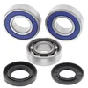 All Balls Jackshaft Bearing Kit