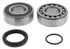 All Balls Jackshaft Bearing Kit