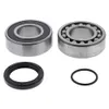 All Balls Jackshaft Bearing Kit