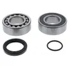 All Balls Jackshaft Bearing Kit