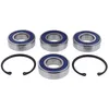 Driveshaft Bearing