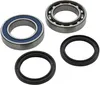 All Balls Lower Jackshaft Bearing Kit