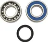 All Balls Upper Jackshaft Bearing Kit