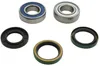 All Balls Upper Jackshaft Bearing Kit