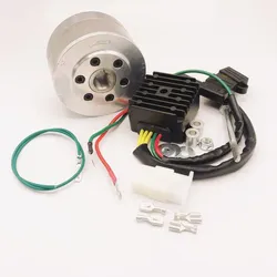 Rick Lithium Ion Compatible Charging Kit Stator Regulator