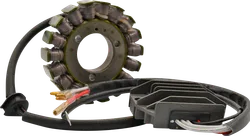 Rick Lithium Ion Compatible Charging Kit Stator Regulator