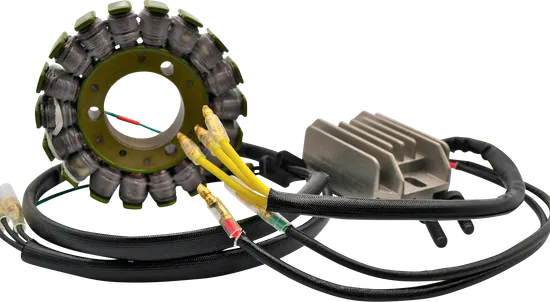 Ricks Hot Shot Lithium Ion Compatible Charging Kit Stator Regulator 1