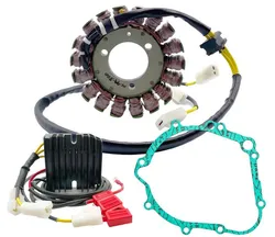 Rick Lithium Ion Compatible Charging Kit Stator Regulator