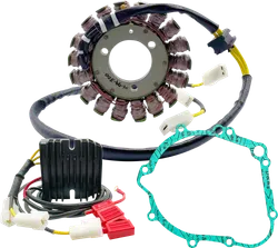 Rick Lithium Ion Compatible Charging Kit Stator Regulator