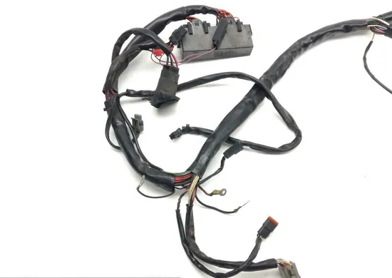 Main Engine Wiring Harness 00 Harley Electra Ultra Classic EFI FLHTCUI 1599
