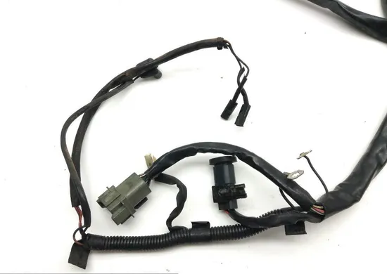 Main Engine Wiring Harness 00 Harley Electra Ultra Classic EFI FLHTCUI 1599