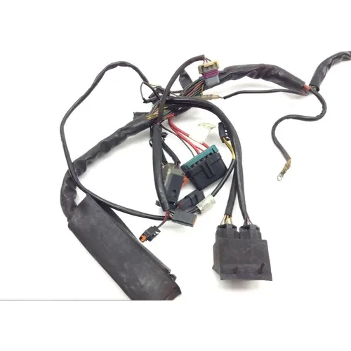 EFI Wiring Harness 2000 Harley Electra Glide Ultra Classic EFI FLHTCUI 1599 x 5