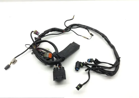 EFI Wiring Harness 2000 Harley Electra Glide Ultra Classic EFI FLHTCUI 1599 x