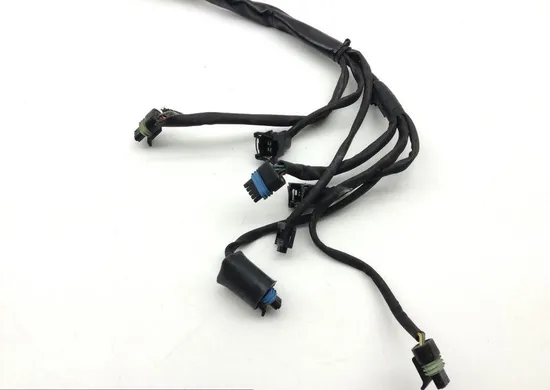 EFI Wiring Harness 2000 Harley Electra Glide Ultra Classic EFI FLHTCUI 1599 x