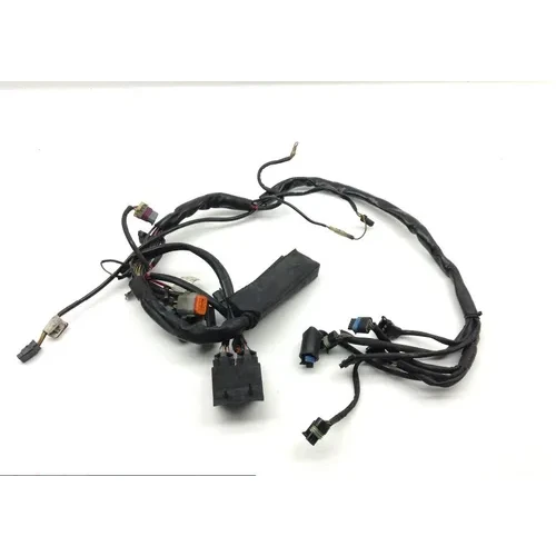 EFI Wiring Harness 2000 Harley Electra Glide Ultra Classic EFI FLHTCUI 1599 x 3