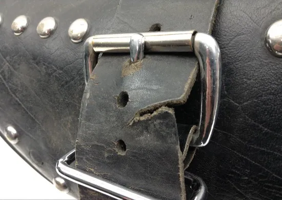 Saddlebags 03 Harley-Davidson Heritage Softail Classic  FLSTC 1598 x