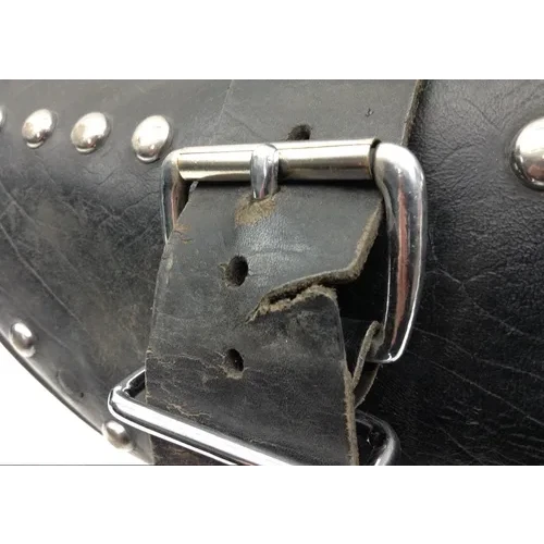 Saddlebags 03 Harley-Davidson Heritage Softail Classic  FLSTC 1598 x 3