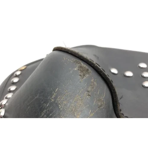 Saddlebags 03 Harley-Davidson Heritage Softail Classic  FLSTC 1598 x 9