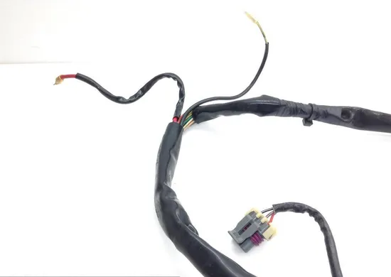 EFI Wiring Harness 2000 Harley-Davidson Road King Classic EFI FLHRCI 1611