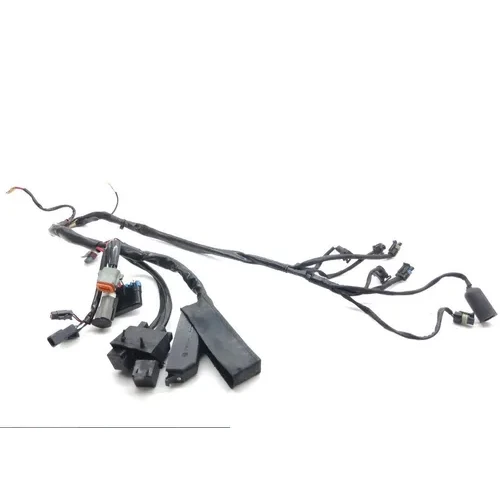 EFI Wiring Harness 2000 Harley-Davidson Road King Classic EFI FLHRCI 1611 3