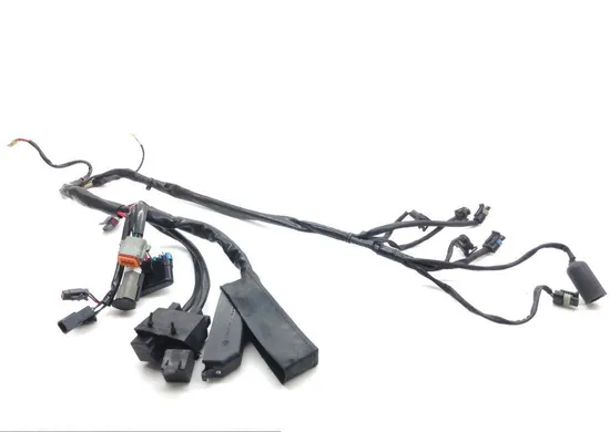 EFI Wiring Harness 2000 Harley-Davidson Road King Classic EFI FLHRCI 1611