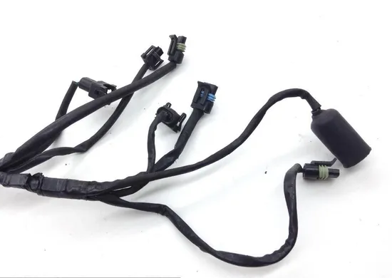 EFI Wiring Harness 2000 Harley-Davidson Road King Classic EFI FLHRCI 1611