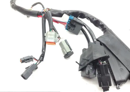 EFI Wiring Harness 2000 Harley-Davidson Road King Classic EFI FLHRCI 1611