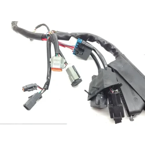 EFI Wiring Harness 2000 Harley-Davidson Road King Classic EFI FLHRCI 1611 9