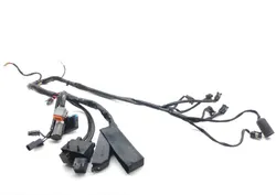 EFI Wiring Harness 2000 Harley-Davidson Road King Classic EFI FLHRCI 1611