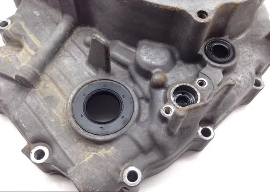 Engine Stator Generator Cover from 2016 HOnda 500 Pioneer