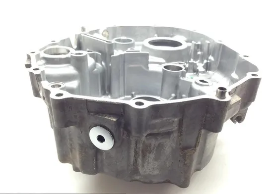 Engine Stator Generator Cover from 2016 HOnda 500 Pioneer