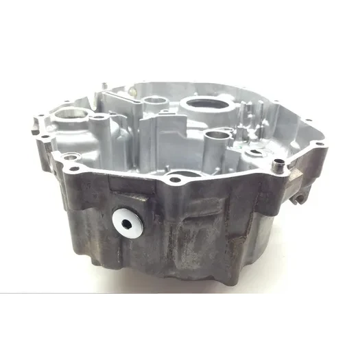 Engine Stator Generator Cover from 2016 HOnda 500 Pioneer 18