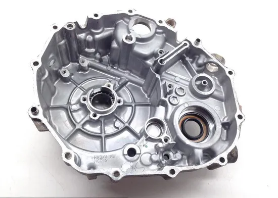 Engine Stator Generator Cover from 2016 HOnda 500 Pioneer