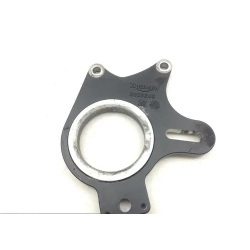 Brake Stay 2008 Triumph Sprint ST 1633 5