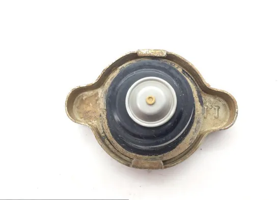 Radiator Cap from 2011 Can Am Renegade 500 #15