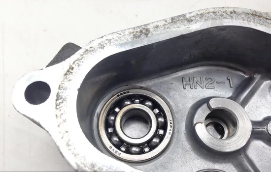 Engine Stator Generator Cover from 2001 Honda Rubicon 500 TRX500FA