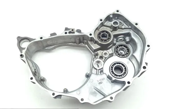 Inner Stator Cover from 2001 Honda Rubicon 500 TRX500FA