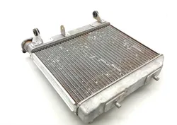 Engine Radiator Cooling from 2008 Honda TRX 450ER x