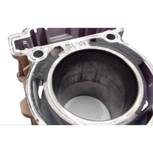 Engine Cylinder Jug Rear 2014 Can-Am Outlander 500 4x4 EFI 1677 PARTS 18