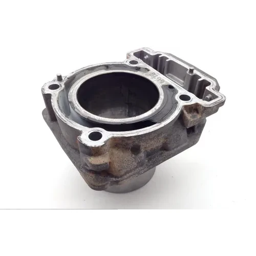 Engine Cylinder Jug Rear 2014 Can-Am Outlander 500 4x4 EFI 1677 PARTS 5