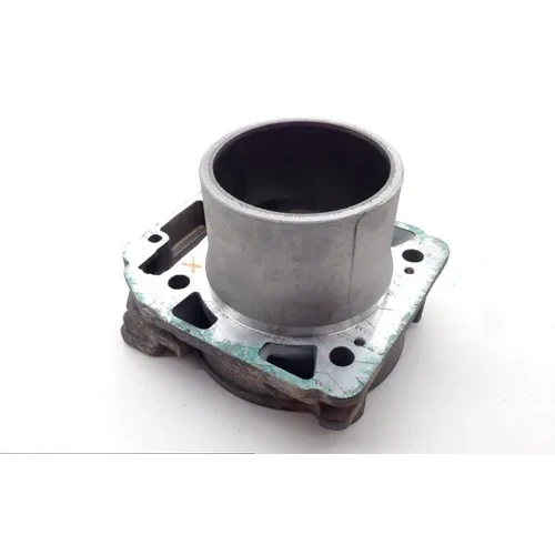 Engine Cylinder Jug Rear 2014 Can-Am Outlander 500 4x4 EFI 1677 PARTS 13