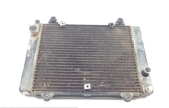 Engine Radiator Cooling 2003 Kawasaki Prairie 650 KVF650A 4x4 1664