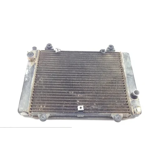 Engine Radiator Cooling 2003 Kawasaki Prairie 650 KVF650A 4x4 1664 9